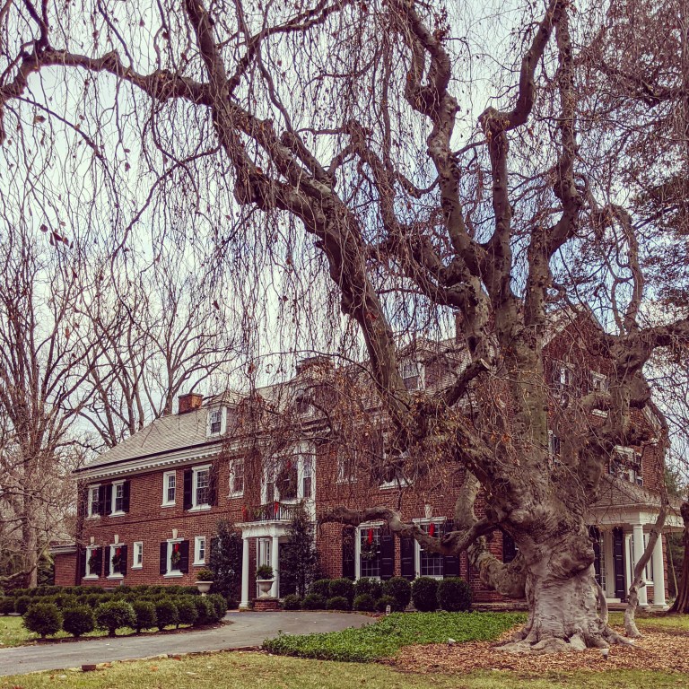 Philadelphia Main Line 2020